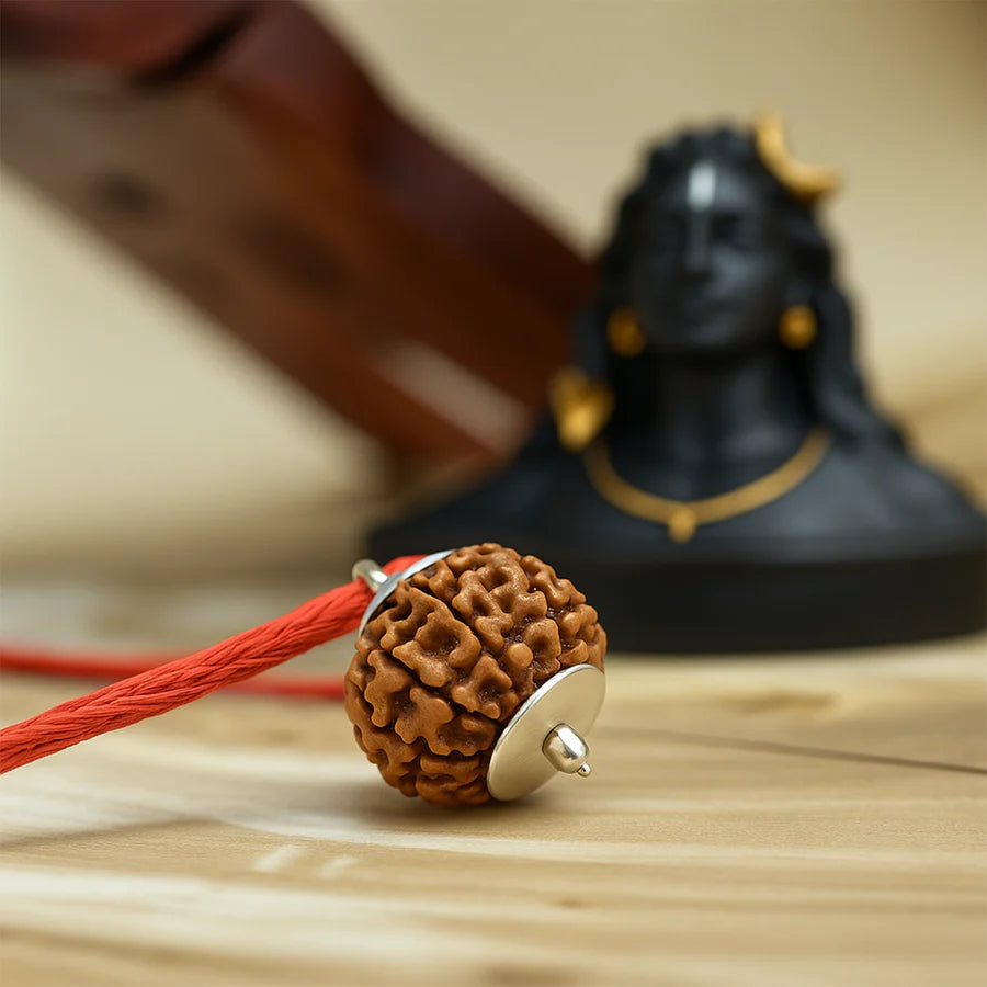 7 Mukhi Natural Nepali Rudraksha