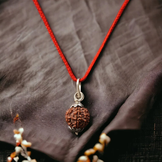 7 Mukhi Natural Nepali Rudraksha