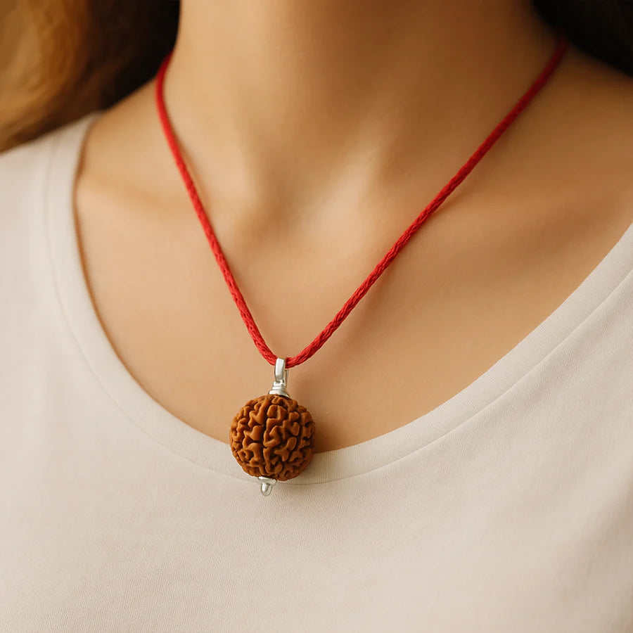 7 Mukhi Natural Nepali Rudraksha